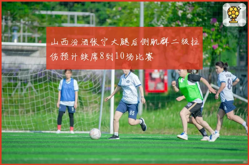 山西汾酒张宁大腿后侧肌群二级拉伤预计缺席8到10场比赛